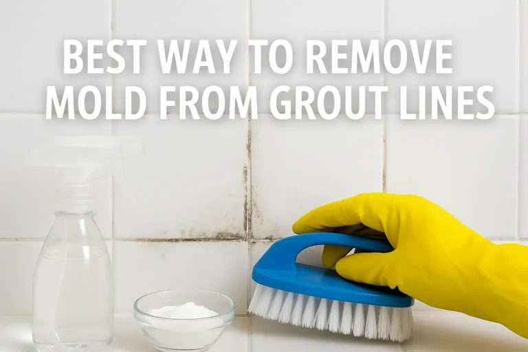 Best Way to Remove Mold from Grout Lines